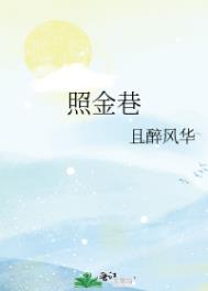 照金巷且醉风华